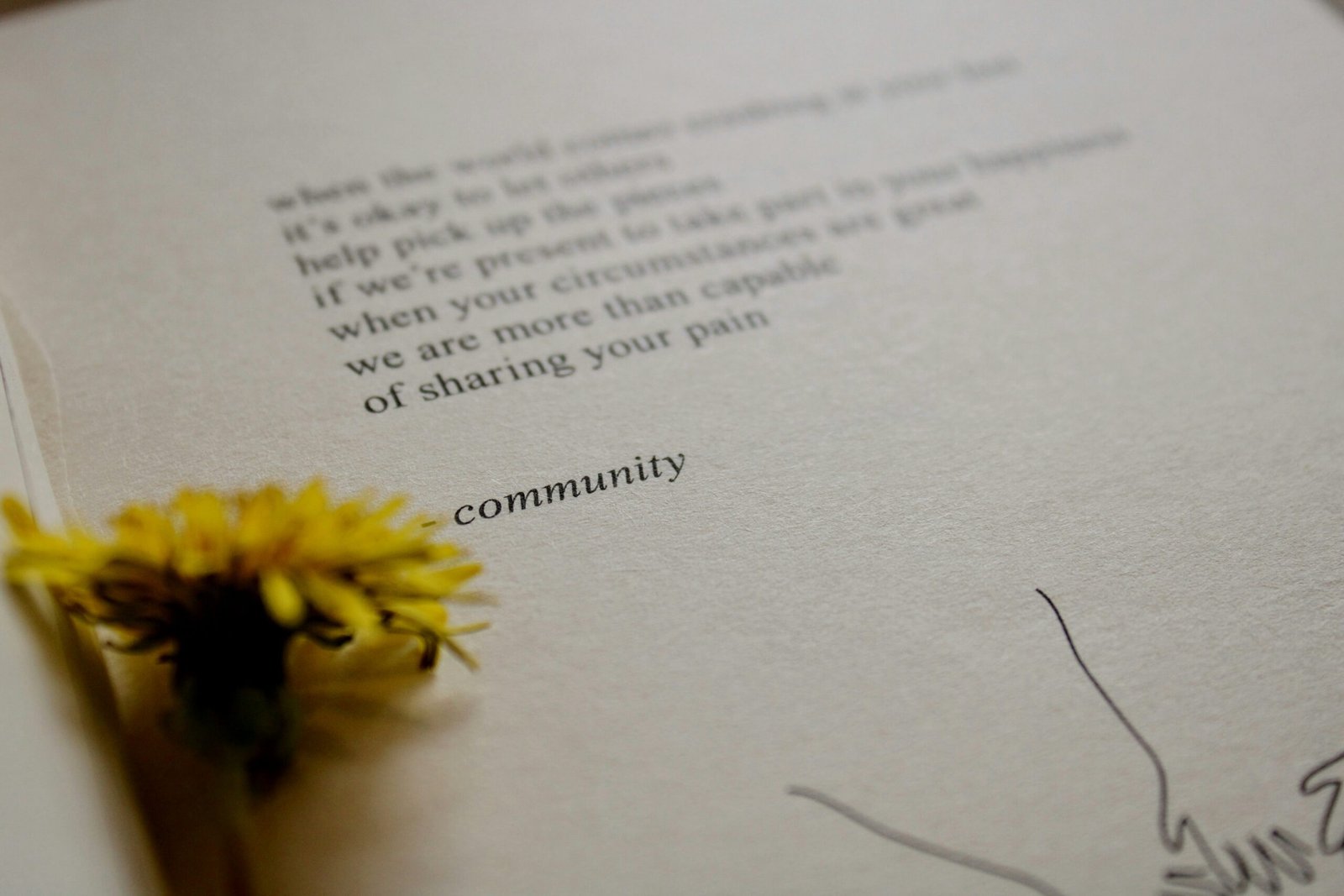 community pic